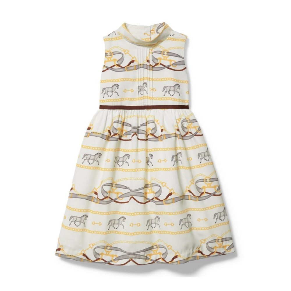 NWT ✨ Janie and Jack equestrian dress, size 6